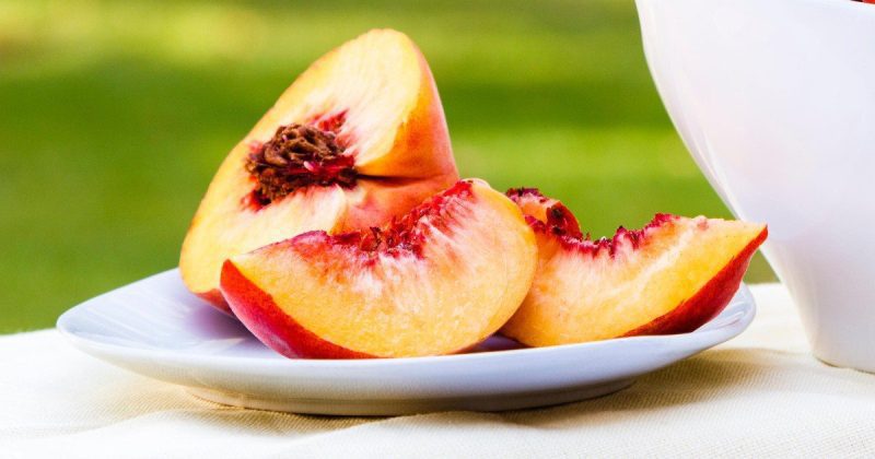 佐治亚州参议员提出独立的体育博彩法案