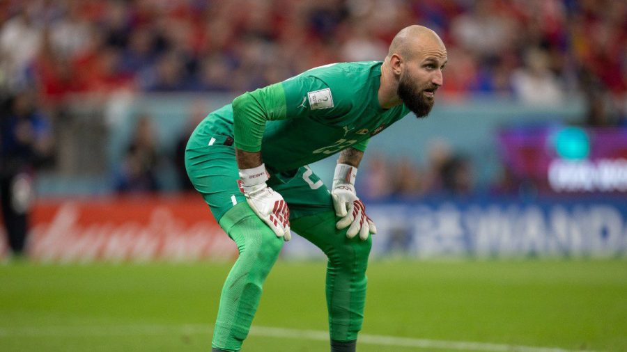 喀麦隆对塞尔维亚的世界杯赔率、预测,利用这条短线的优势