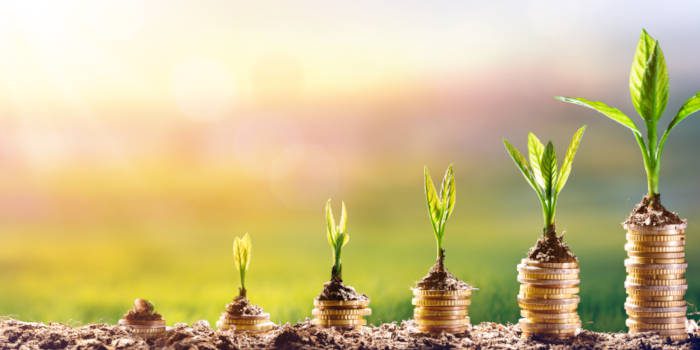 SkillOnNet投资Peter Sons以推动内容发展