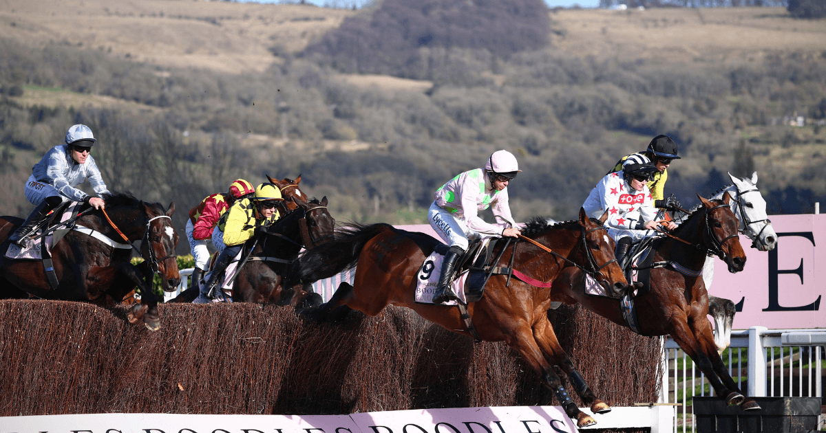 2023年切尔滕纳姆节,前哨市场的动向