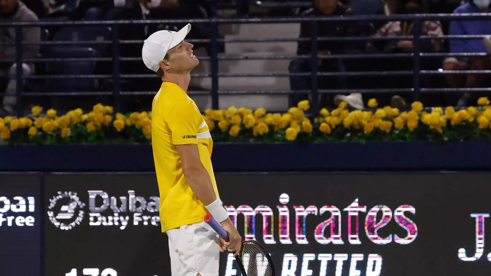 达尼尔-梅德韦杰夫VS克里斯托弗-奥康纳尔最佳投注