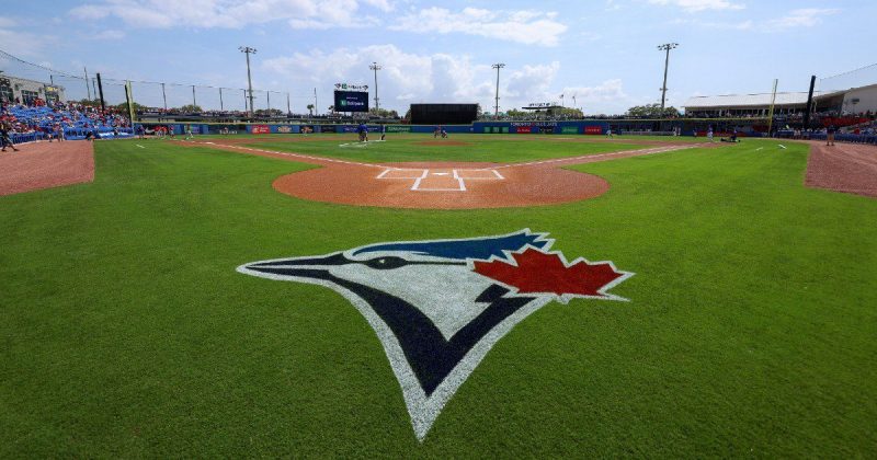 尽管有洋基队的健康问题，蓝鸟队在世界系列赛期货投注中的表现有所下滑