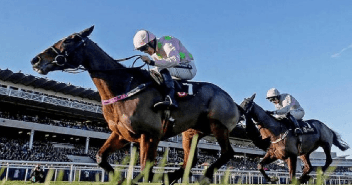 都柏林赛马节预览