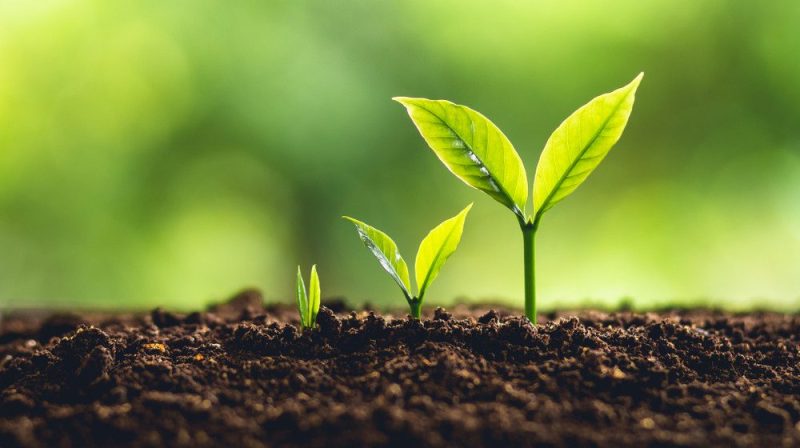 AGS：创纪录的第四季度将成为全公司增长的催化剂