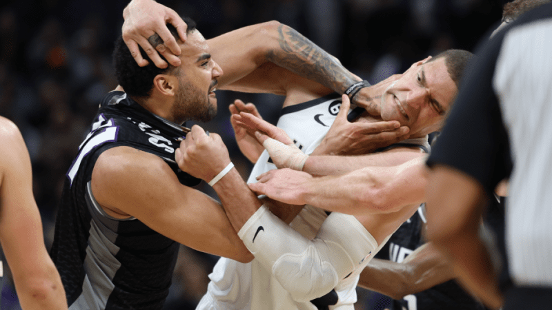 雄鹿和国王打架,布鲁克-洛佩兹和特雷-莱尔斯在密尔沃基队获胜的最后几秒钟发生激烈的混战