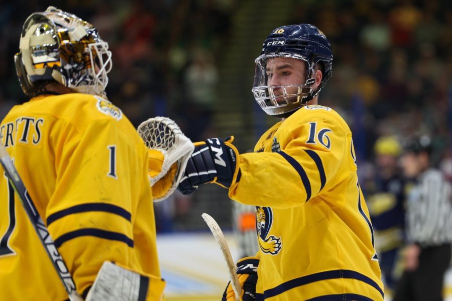 昆尼皮亚克VS明尼苏达赔率、预测和观看方法