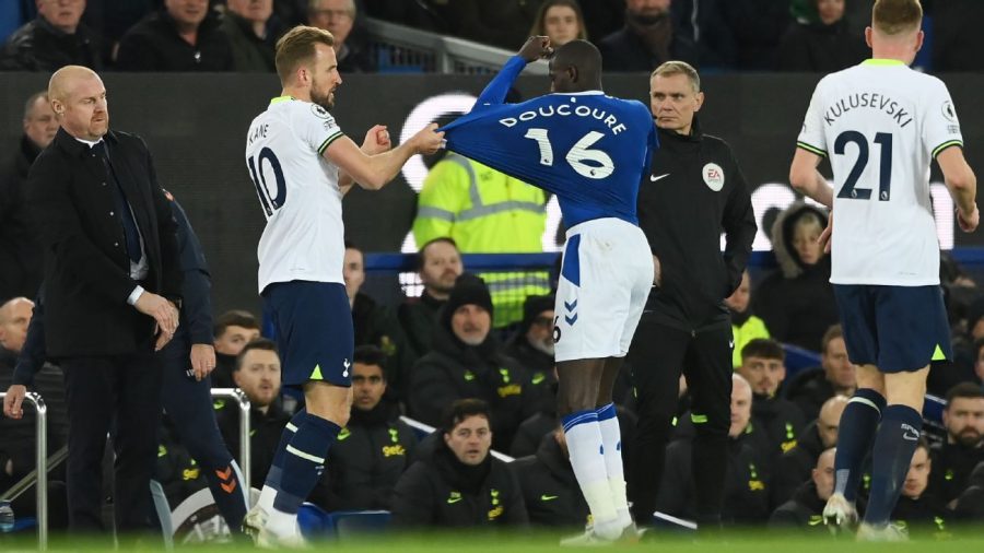 斯特利尼在埃弗顿 