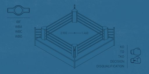 如何分析拳击和投注