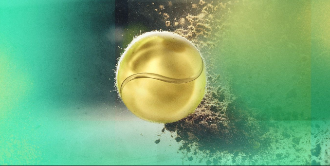 美网奖金创历史纪录：总额7500万美元，冠军独得360万美元