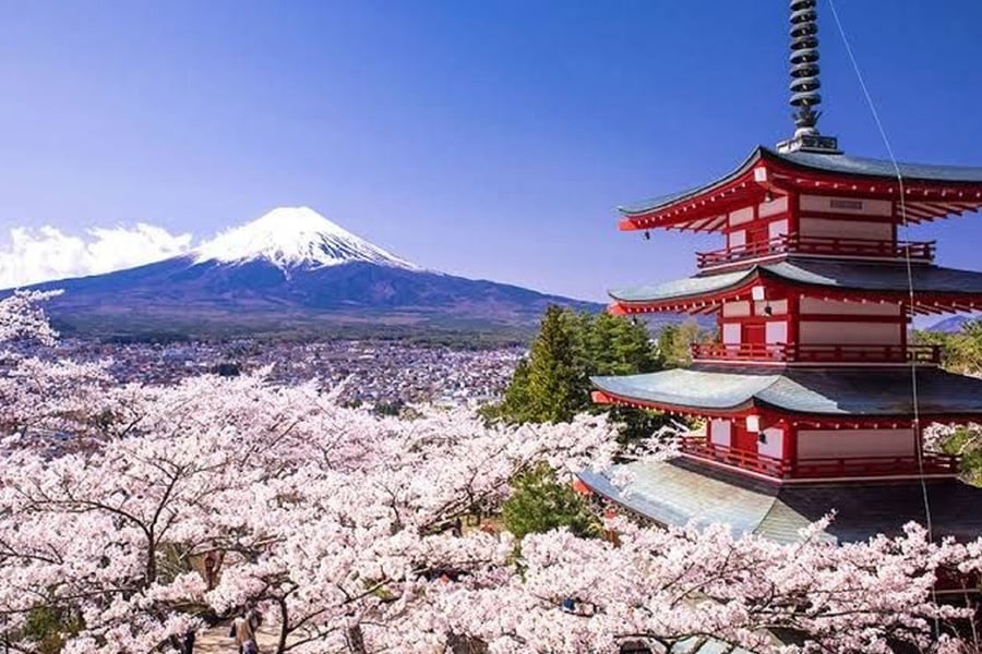 日本首次因网络赌场博彩广告实施逮捕 | 标志性打击行动