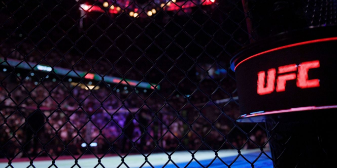 UFC285，重量级冠军争夺战，时间，地点，赔率