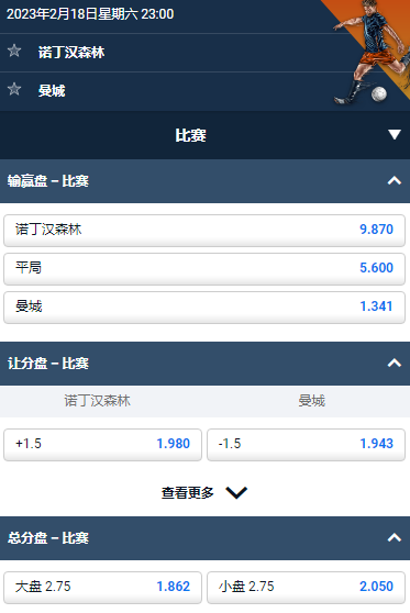 英超，诺丁汉森林 vs 曼城，平博的赔率和盘口