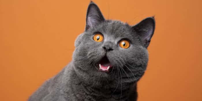 电台主持人向因配偶博彩几乎破产的来电者提供建议