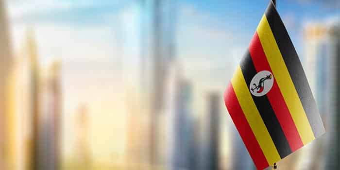 乌干达在姆巴拉拉和伊班达查获逾80台非法博彩机