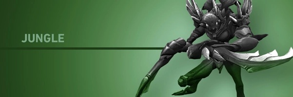 LoL-Roles-Jungler-Jungle 英雄联盟-打野英雄