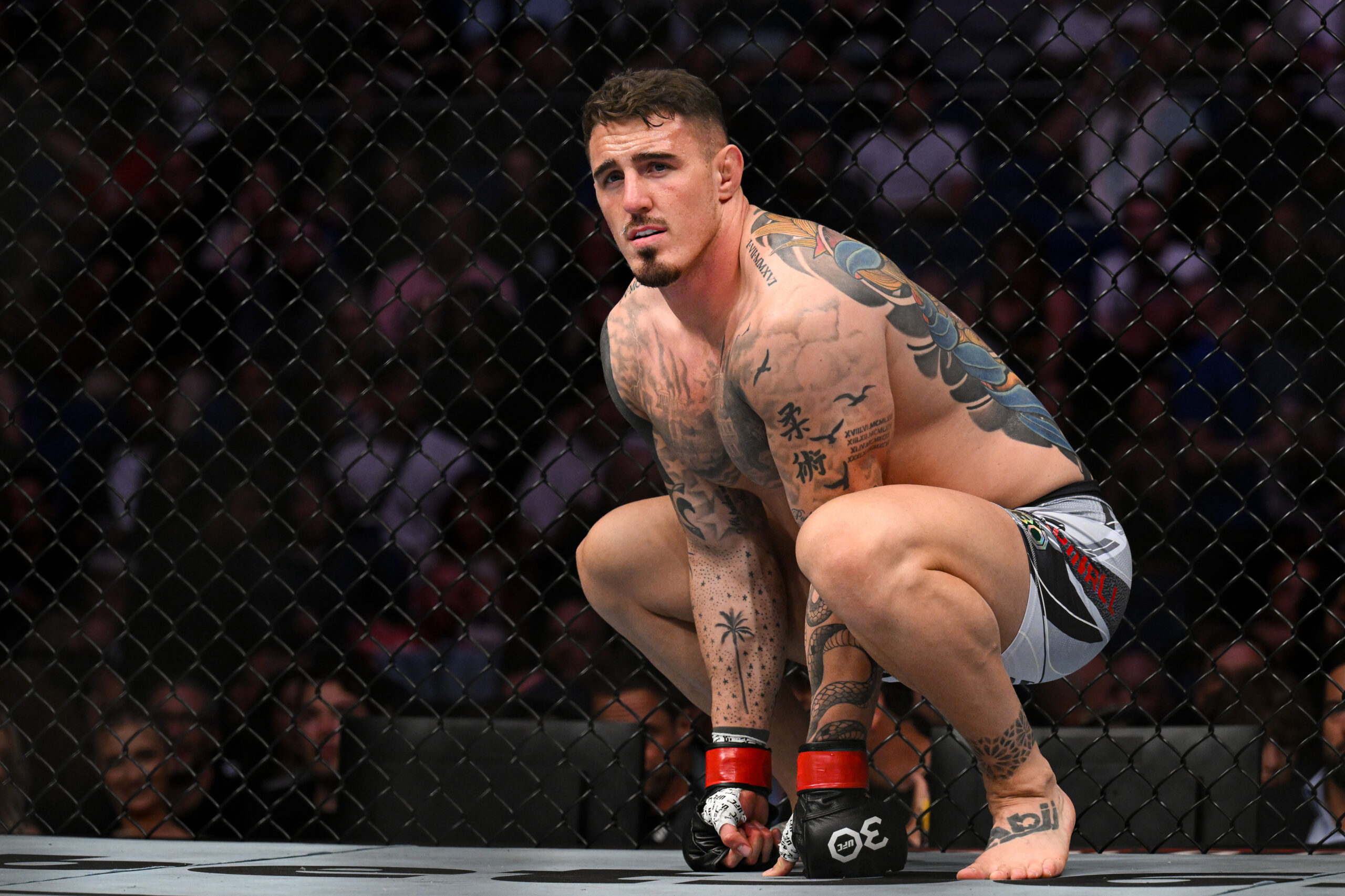 UFC 321赛事预测 | 阿斯皮纳尔 vs 盖恩对决精选 | 全场最佳投注推荐