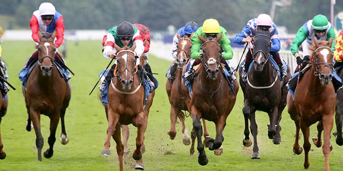 诉讼指控赛马业勾结“欺诈”普通赌客