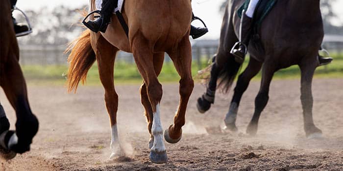 英国赛马协会第三季度赛事报告显示投注额下降