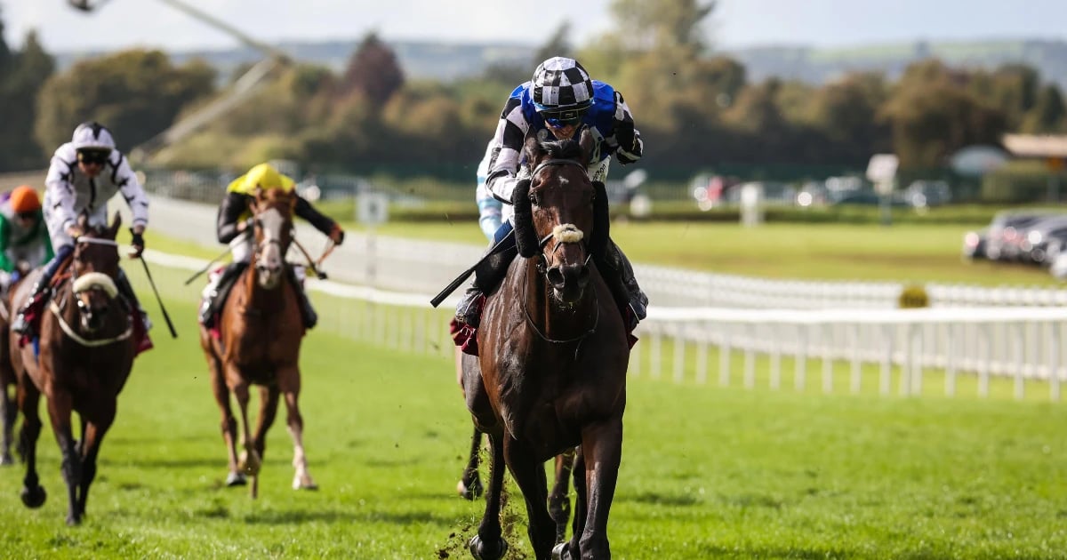 爱尔兰之眼将绽放笑颜 | 阿尔里法将在澳洲本土给澳大利亚人上一课 爱尔兰之眼将绽放笑颜 | 阿尔里法将在澳洲本土给澳大利亚人上一课