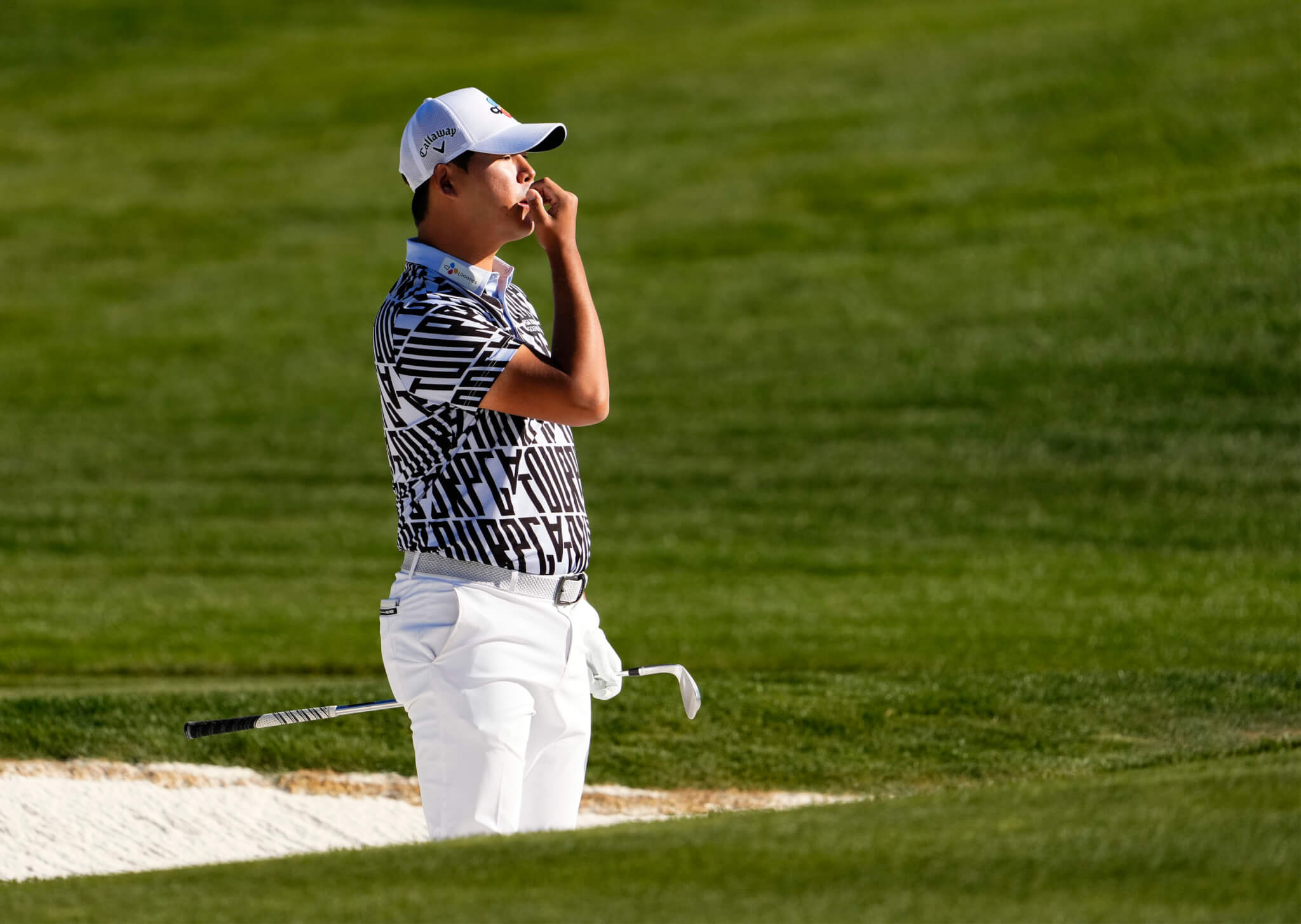 全球科技锦标赛精选预测赔率