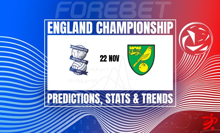 伯明翰主场迎战状态低迷的诺维奇 | 力争主场优势