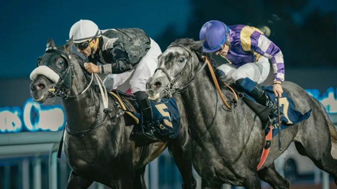 阿布扎比赛马俱乐部筹备举办第33届阿联酋总统杯阿拉伯纯种马大赛 阿布扎比赛马俱乐部筹备举办第33届阿联酋总统杯阿拉伯纯种马大赛