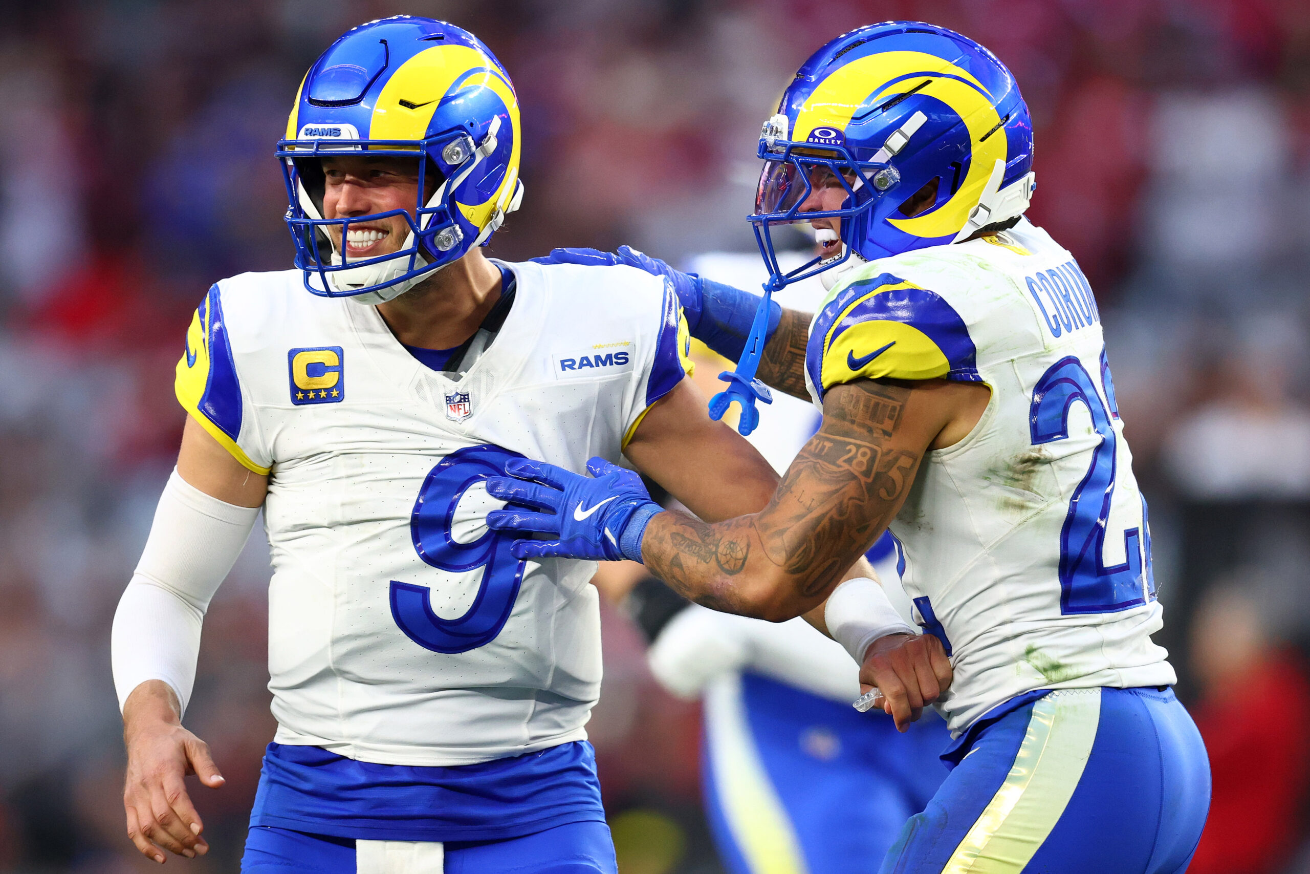 雄狮对阵公羊预测 | 投注建议及赔率 | 季后赛影响分析（第15周）