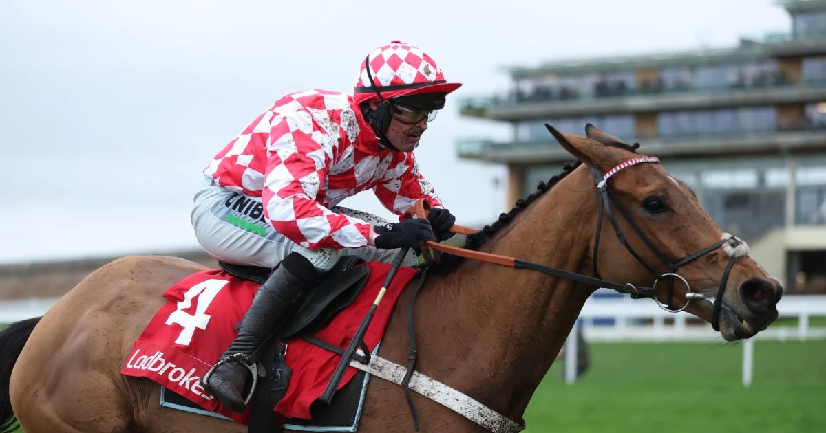 节礼日赛马指南 | 迪亚姆德·诺兰推荐肯普顿与豹镇三大精选